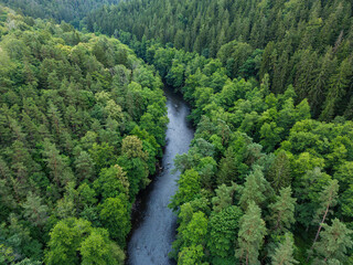 Lush green forest surrounding a winding river flowing through the landscape showcasing nature's beauty and tranquility concept