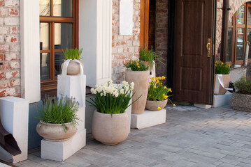 spring flowers stand in ceramic vases at a flower shop