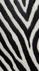 Striking Patterns of Black and White Zebra Fur Close up Capturing Natural Textures and Contrasts