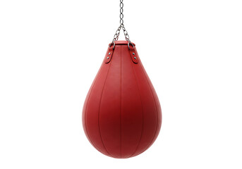 Red Teardrop Punching Bag Isolated on Transparent Background


