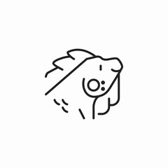 chameleon icon icon sign vector