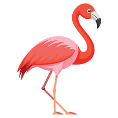 Flamingo Vector 