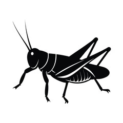 Silhouette illustration of a grasshopper insect standing on the ground in black and white