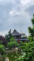 japanese garden with pond and trees
