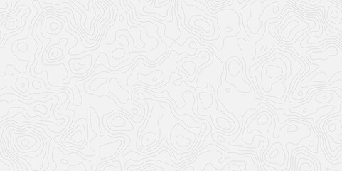 Topographic white and bright light grey stylized line essential for effectively communicating the focus and scope of a map or survey. A well-crafted provides clarity on the geographic area.