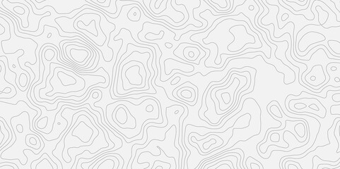 Topographic white and bright light grey stylized line essential for effectively communicating the focus and scope of a map or survey. A well-crafted provides clarity on the geographic area.