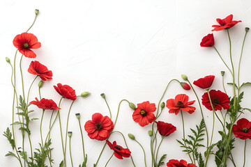 Obraz premium Set of red poppies border