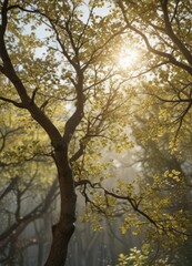 Fototapeta premium Soft, diffused light filters through branches creating dappled pattern , texture, aesthetic