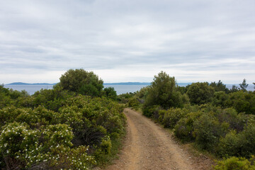Fototapeta premium Beautiful scenery by the sea under a cloudy sky in Sithonia, Chalkidiki, Greece