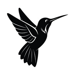 Elegant black and white hummingbird in flight vector illustration for graphic design projects