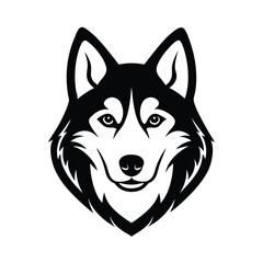 Striking black and white husky dog head vector illustration for logo and graphic designs
