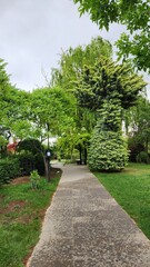 japanese garden in the park