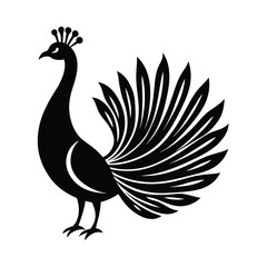 Fototapeta premium Elegant peacock silhouette vector illustration royal bird with stylized tail on white background