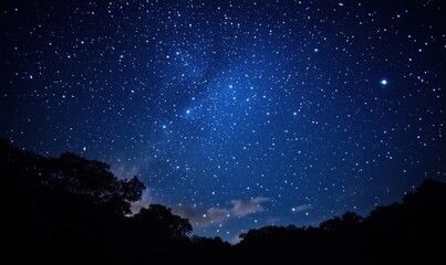 Starry night sky with bright stars and dark silhouettes of trees