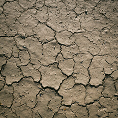 Drying Mud With Cracks - Drought
