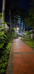 Obraz premium A quiet, plant-lined sidewalk illuminated with warm lights at night.