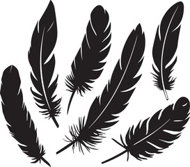 Obraz premium Feather Silhouette Set Vector Bird Plume Black Isolated Natural Collection Graphic