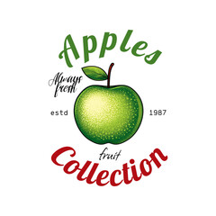 Emblem collection of fruits. Apples. Original vector illustration in vintage style. T-shirt design.