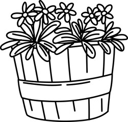 Hand-drawn botanical line art of various succulent plants, minimalist sketch style perfect for eco-friendly and modern home decor.