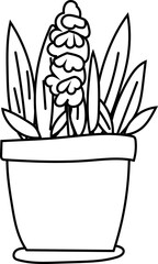 Hand-drawn simple line art of indoor potted plants, minimalist black and white design ideal for botanical wall prints and home decoration.
