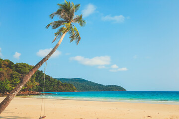 Beautiful tropical beach with palm tree at Koh kood, Thailand