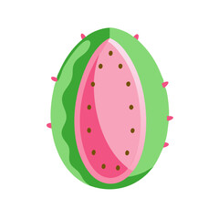 watermelon vector illustration