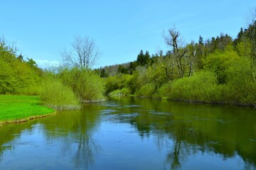 Obraz premium View of Rak river with a forest on the shore in Rakov Škocjan, Notranjska, Slovenia