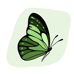 Beautiful butterfly insect with colored wings. Black contour and green palette shadow. Beauty nature and wildlife. Summer and spring hand-drawn decorative elements