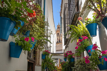 Calleja de las Flores in Córdoba. Beautiful Tourist Narrow Street with Flowers in Pots and  Mosque–Cathedral of Córdoba in the Background in Andalusian Spain.
