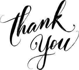 Elegant black thank you calligraphy, handwritten typography. Vector illustration