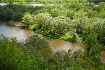 Fototapeta premium Scenic view of a calm river meandering through lush green forest in spring, showcasing untouched nature, vibrant vegetation, and the peaceful beauty of a wild river landscape