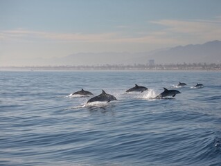 dolphins jumping gracefully in the ocean against a serene backdrop  