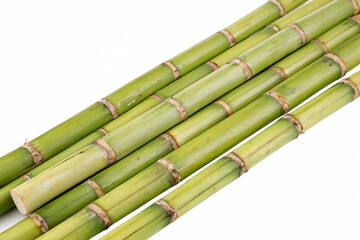 Obraz premium Fresh green sugar cane stalk