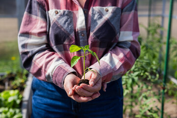 A person in a plaid shirt holds a young seedling in their hands against a garden background, symbolizing care for nature and new beginnings.