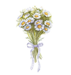 A bouquet of daisies tied with a white lace ribbon, hand-drawn. Watercolor illustration of white wildflowers on a white background. Isolated. Botanical illustration. Congratulation. Romance.