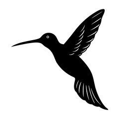 black and white hummingbird