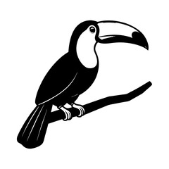 toucan on a white background © MorshedBD