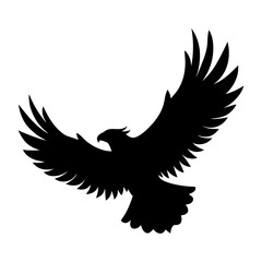 eagle in the sky