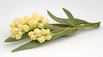 Obraz premium Elegant Pale Yellow Flowers with Green Leaves Botanical Bouquet
