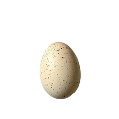 Speckled Bird Egg isolated on transparent background