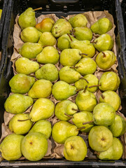 White Williams pears arranged in a crate on a greengrocer's shelf