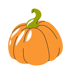 Pumpkin hand drawn cultivated vegetable