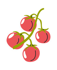 Red cherry tomatoes hand drawn