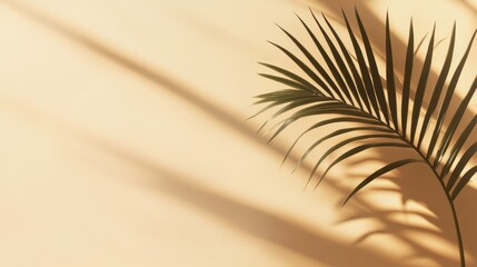 Obraz premium A simple background with a shadow of a palm tree on a beige wall. This luxurious interior design is perfect for showcasing products in a stylish setting.