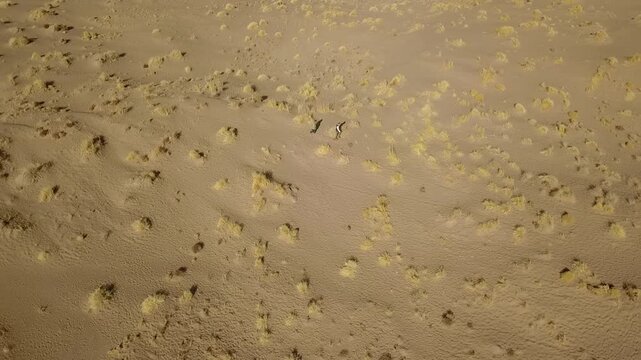 High aerial drone view of a desert plain with large-scale grid-like agricultural plots, scattered buildings, and minimal vegetation. This semi-arid farmland illustrates extensive irrigation planning