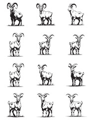 creative vector illustration of goats