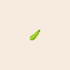 Colorful Squash vegetable marrow zucchini icon flat vector design.