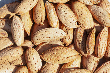Close-up of unpeeled almonds. Growing and selling almonds