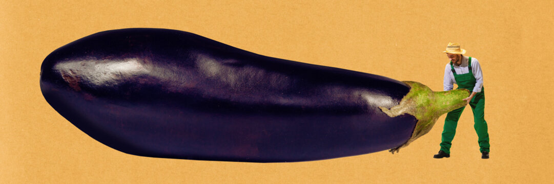 Tiny man as farmer holding huge eggplant with smiling face on yellow background. Contemporary art collage. Banner. Concept of farming, harvest season, organic products, surrealism