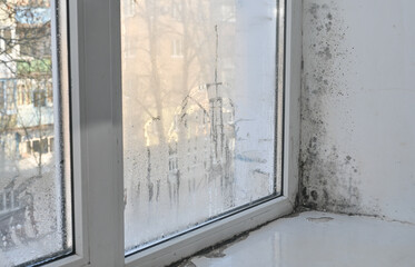 fungus on the window in the apartment. wet fogged glass due to humidity and black mold forms.